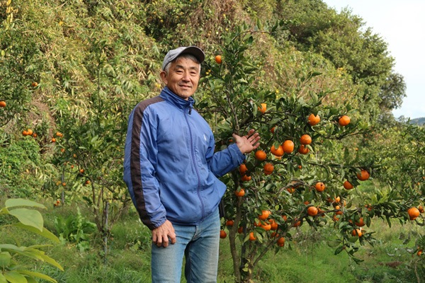 ��̵�������������ݡۥ磻��ɤʳ��Ѥ�ǻ���ǥ����Τ��벹���ߥ���5kg�����縩���ߤ�������ϡ�v5000��