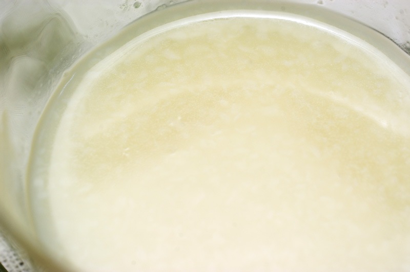 ��̵�������������ݡۥץ�ߥ���ż�720ml�����ä������Ƹ�̣���ɤ��������ƹ��ż�����縩����������ϡ�v800��