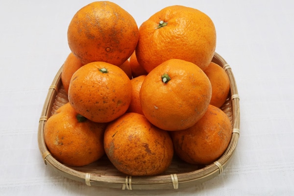 ��̵�������������ݡۥ磻��ɤʳ��Ѥ�ǻ���ǥ����Τ��벹���ߥ���1kg�����縩�����ڹ�Ƿ�����