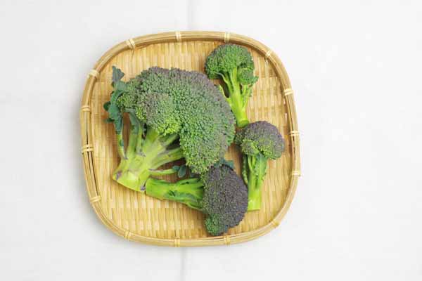 ̵ݡۥ֥å꡼εܡϡv600ۢ1/11()ʬ