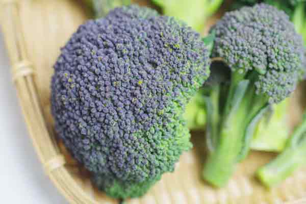 ̵ݡۥ֥å꡼εܡϡv600ۢ1/11()ʬ