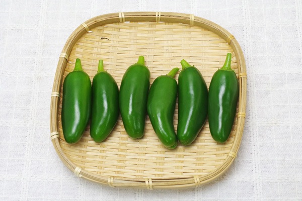 ��̵�������������ݡۥϥ�ڡ��˥� �ᥭ��������ɽ������ɻҡ������ǿɤߤ������١ε����ܡ��ݥȥ�ե�����ϡ�v400�ۢ�10/17(��)ȯ��ʬ