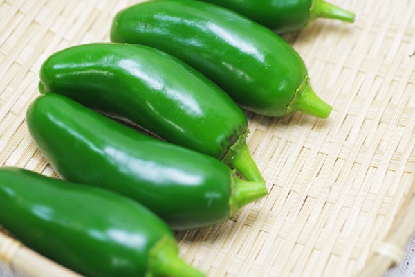 ��̵�������������ݡۥϥ�ڡ��˥� �ᥭ��������ɽ������ɻҡ������ǿɤߤ������١ε����ܡ��ݥȥ�ե�����ϡ�v400�ۢ�10/17(��)ȯ��ʬ