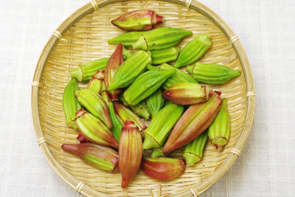 ̵ݡۥ500g ֥ǥӥåɤȥҥ륫ȥ꡼åɤ󤰤ꤷΥԡݥȥեϡv500ۢ10/24()ȯʬ