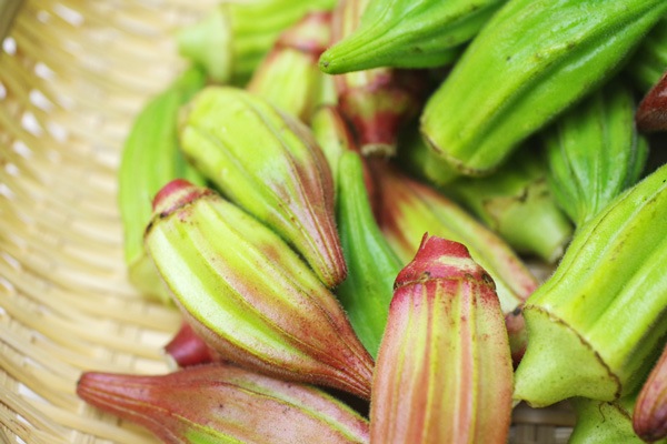 ̵ݡۥ500g ֥ǥӥåɤȥҥ륫ȥ꡼åɤ󤰤ꤷΥԡݥȥեϡv500ۢ10/24()ȯʬ