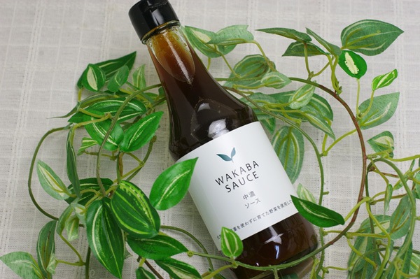 ��̵�������������ݡ���ǻ������300ml ��ʪ���Ǻब����ʤ����ϥե롼�ĤΤ褦�ʿ���������̣�襤��v400��