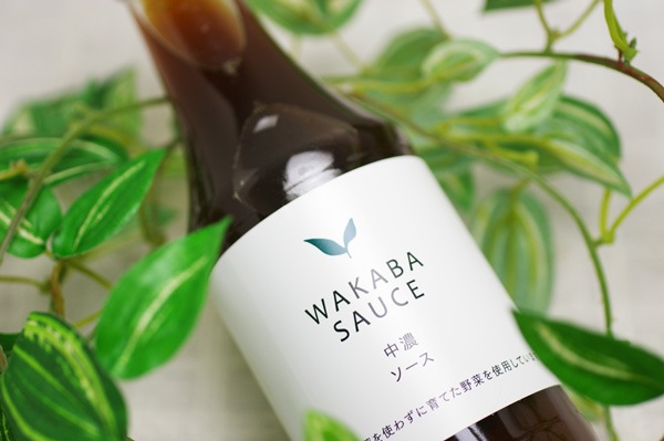 ��̵�������������ݡ���ǻ������300ml ��ʪ���Ǻब����ʤ����ϥե롼�ĤΤ褦�ʿ���������̣�襤��v400��