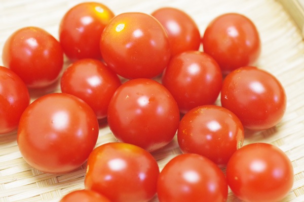 ��̵�������������ݡۥߥ˥ȥޥȡε����ܡ��ݥȥ�ե�����ϡ�v400�ۢ�7/29(��)ȯ��ʬ