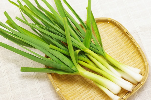 ��̵�������������ݡۥ˥�˥����� �Ťߤ�������˭�����֤�ʪ�˺�Ŭ�η��ܸ������Ĥ褷�ϡ�v400�ۢ�1/21(��)ȯ��ʬ