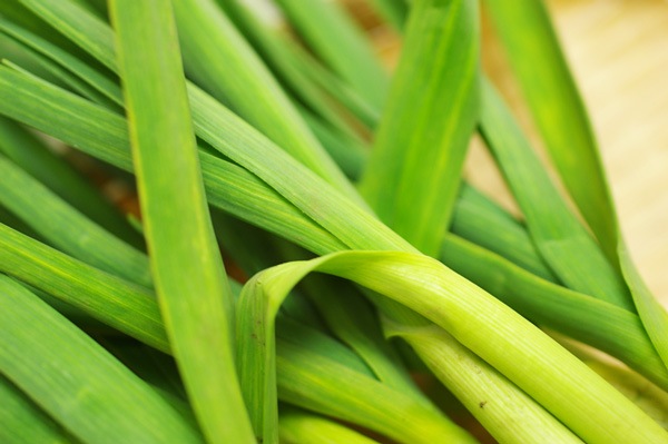 ��̵�������������ݡۥ˥�˥����� �Ťߤ�������˭�����֤�ʪ�˺�Ŭ�η��ܸ������Ĥ褷�ϡ�v400�ۢ�1/21(��)ȯ��ʬ