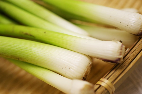 ��̵�������������ݡۥ˥�˥����� �Ťߤ�������˭�����֤�ʪ�˺�Ŭ�η��ܸ������Ĥ褷�ϡ�v400�ۢ�1/21(��)ȯ��ʬ