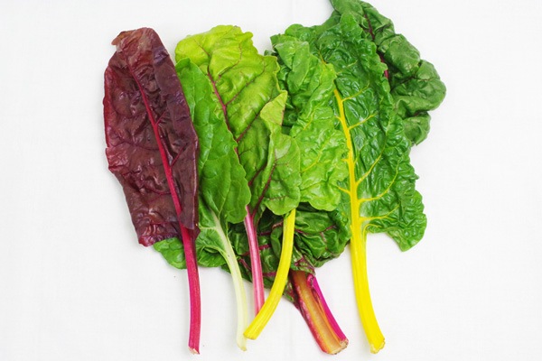 ̵ݡۥ㡼ɡˡεܡ夵ϡv400