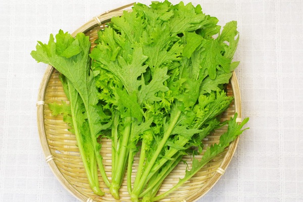 ��̵�������������ݡۤ蘆�Ӻڡ����縩�����ȥĥ���ߥե�����ϡ�v400��