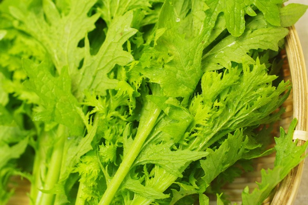 ��̵�������������ݡۤ蘆�Ӻڡ����縩�����ȥĥ���ߥե�����ϡ�v400��