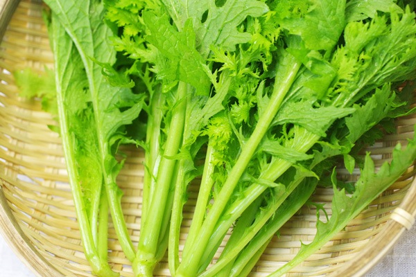 ��̵�������������ݡۤ蘆�Ӻڡ����縩�����ȥĥ���ߥե�����ϡ�v400��