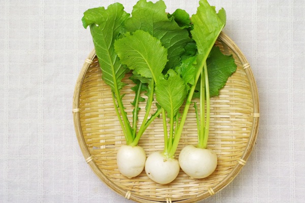 ��̵�������������ݡ۾����֡�Ĺ������إʥ�����ե�����ϡ�v400�ۢ�11/21(��)ȯ��ʬ