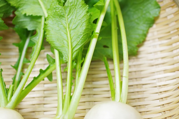 ��̵�������������ݡ۾����֡�Ĺ������إʥ�����ե�����ϡ�v400�ۢ�11/21(��)ȯ��ʬ