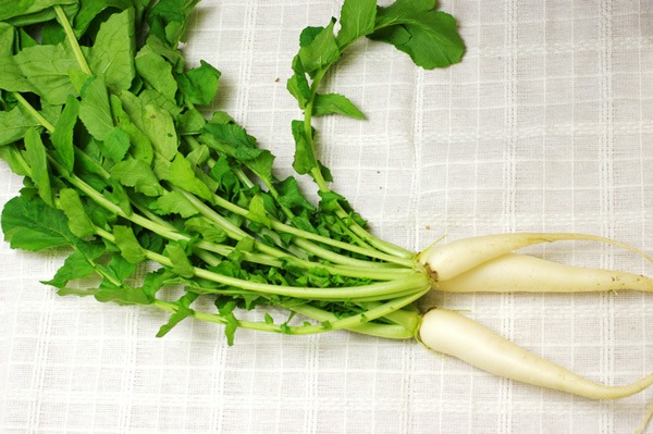 ̵ݡ纬ա縩ϡv400ۢ12/10ʲСȯʬ