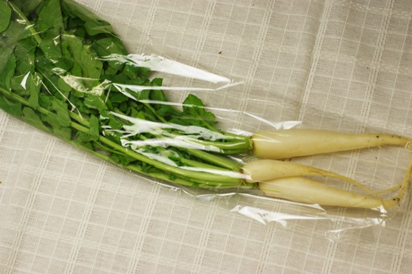 ̵ݡ纬ա縩ϡv400ۢ12/10ʲСȯʬ