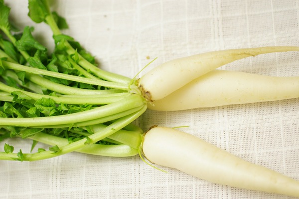 ̵ݡ纬ա縩ϡv400ۢ12/10ʲСȯʬ