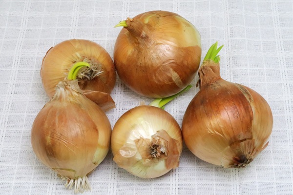 ��̵�������������ݡ��̳�ƻ�����ޤܤ������̸����̤ͤ����������1kg���̳�ƻ�����������