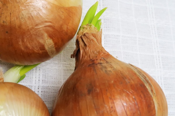 ��̵�������������ݡ��̳�ƻ�����ޤܤ������̸����̤ͤ����������1kg���̳�ƻ�����������