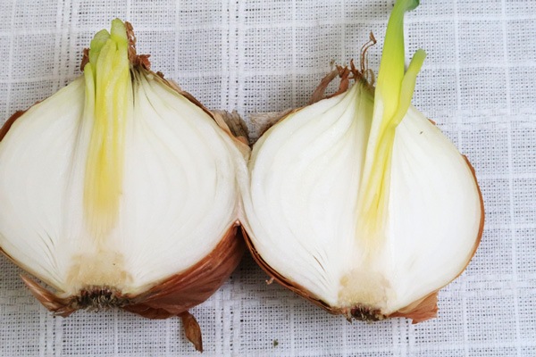 ��̵�������������ݡ��̳�ƻ�����ޤܤ������̸����̤ͤ����������1kg���̳�ƻ�����������