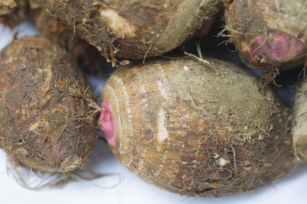 ��̵���������������Τ��ʥ���٥�����1kg�η��ܸ���˭�ʺ���Ҥ���ϡ�v1000��