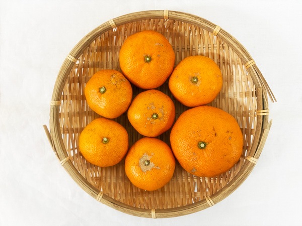 ��̵�������������ݡ�����ߤ���1kg �����Τ���Ťߤ���¢���ι⤤�����ߤ���ι��縩���񹭼�����������ϡ�v1000��