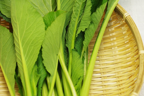 ��̵�������������ݡ۾����ڡ�Ĺ������إʥ�����ե�����ϡ�v400�ۢ�6/27(��)ȯ��ʬ