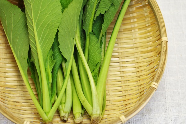 ��̵�������������ݡ۾����ڡ�Ĺ������إʥ�����ե�����ϡ�v400�ۢ�6/27(��)ȯ��ʬ