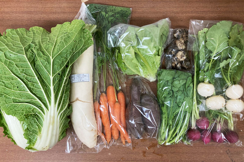 ̵ݡ۵ڥåȡ轵ȯˡv4000