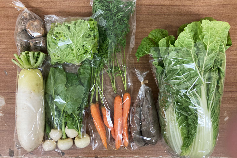 ̵ݡ۵ڥåȡ轵ȯˡv4000