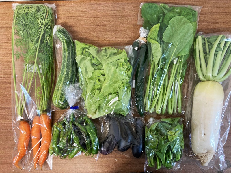 ̵ݡ۵ڥåȡ轵ȯˡv4000