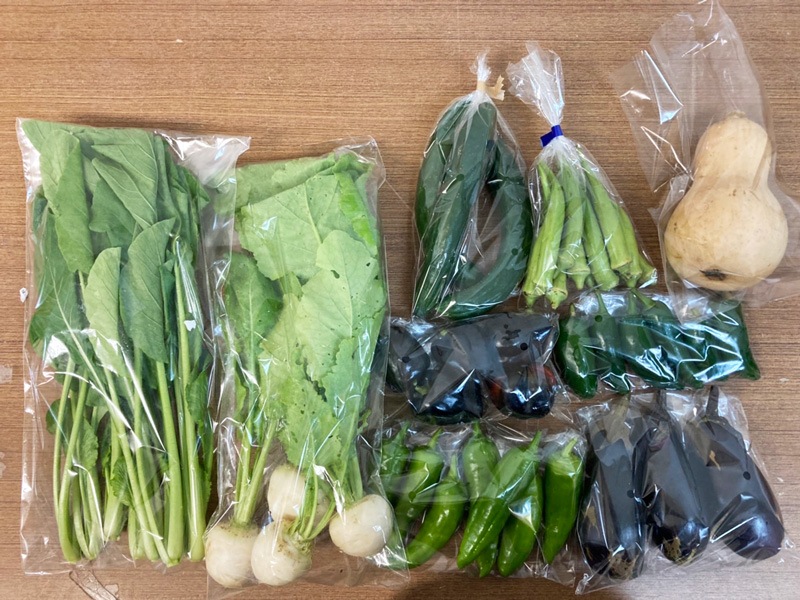 ̵ݡ۵ڥåȡ轵ȯˡv4000