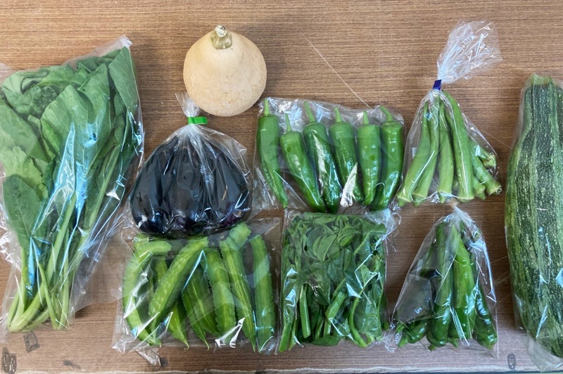 ̵ݡ۵ڥåȡ轵ȯˡv4000