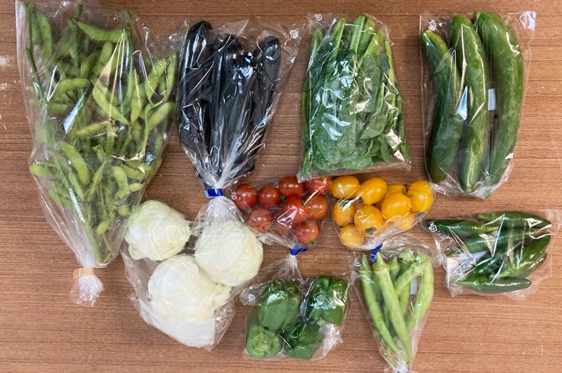 ̵ݡ۵ڥåȡ轵ȯˡv4000