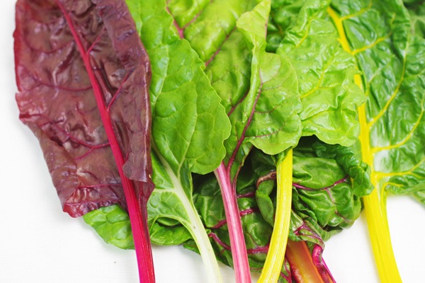 ̵ݡۥ㡼ɡˡ縩ȥĥߥեवϡv400