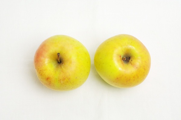 �ڸ��������̺��ݡۤ�󤴡�̾��ʤᤤ���ġˡ�2�ġ�Ĺ�������ͤ�ϡ�v500��