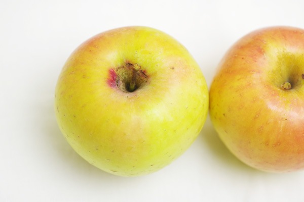 �ڸ��������̺��ݡۤ�󤴡�̾��ʤᤤ���ġˡ�2�ġ�Ĺ�������ͤ�ϡ�v500��