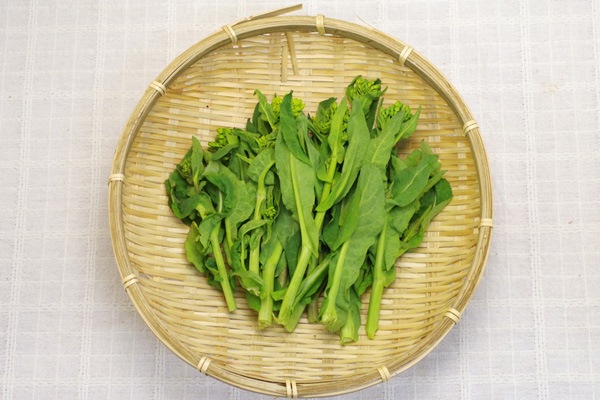 ̵ݡۺڤβ դˬ𤲤뤪ڡĹإʥեवϡv400