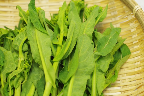 ̵ݡۺڤβ դˬ𤲤뤪ڡĹإʥեवϡv400