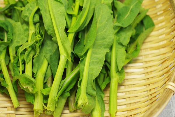 ̵ݡۺڤβ դˬ𤲤뤪ڡĹإʥեवϡv400