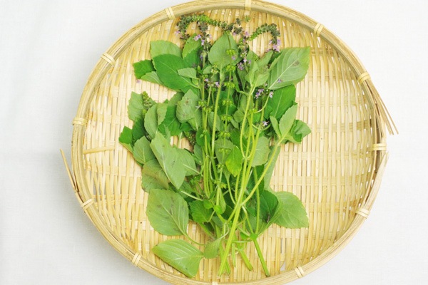 ̵ݡۥۡ꡼Хεܡݥȥեϡv400