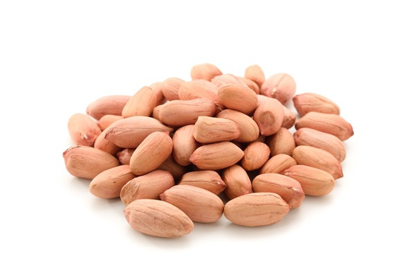 ��̵�������������ݡ��������110g��v200��