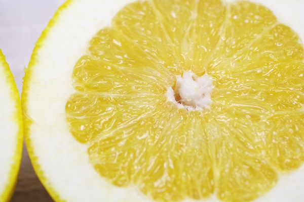 ��̵�������������ݡ۰�����1�� ʸö�ΰ��ǻ�̣���ʤ���γ��γ�����ä��ꤷ�����٤䤹���ߥ���ι��縩����������ϡ�v600��