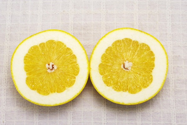 ��̵�������������ݡ۰�����1�� ʸö�ΰ��ǻ�̣���ʤ���γ��γ�����ä��ꤷ�����٤䤹���ߥ���ι��縩����������ϡ�v600��