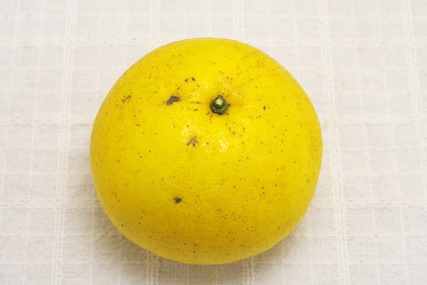 ��̵�������������ݡ۰�����1�� ʸö�ΰ��ǻ�̣���ʤ���γ��γ�����ä��ꤷ�����٤䤹���ߥ���ι��縩����������ϡ�v600��