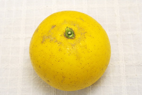 ��̵�������������ݡ۰�����1�� ʸö�ΰ��ǻ�̣���ʤ���γ��γ�����ä��ꤷ�����٤䤹���ߥ���ι��縩����������ϡ�v600��