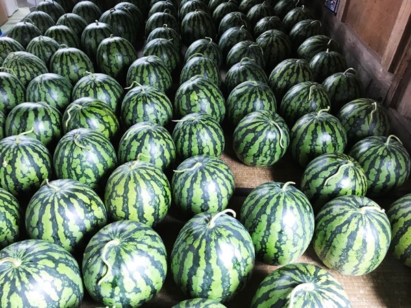 ̵ݡ̥57ԡλͥȡϡڻľۡߡۢͽ